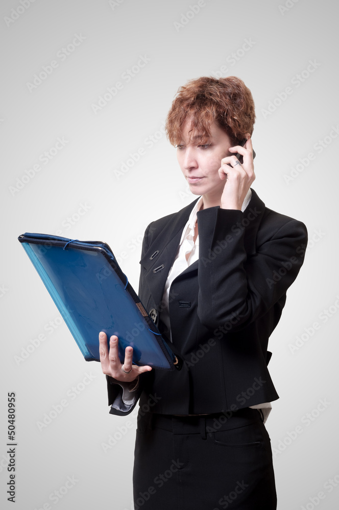 success business woman with briefcase and phone success business woman with briefcase and phone