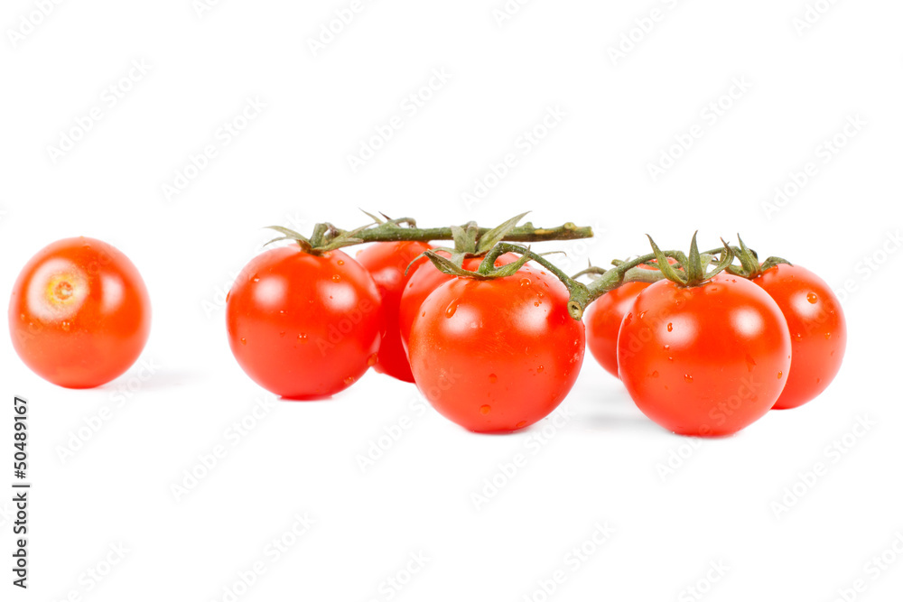 Organic vegetables, tomatoes on white background Organic vegetables, tomatoes on white background