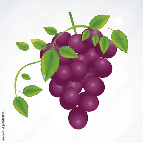 Grapes