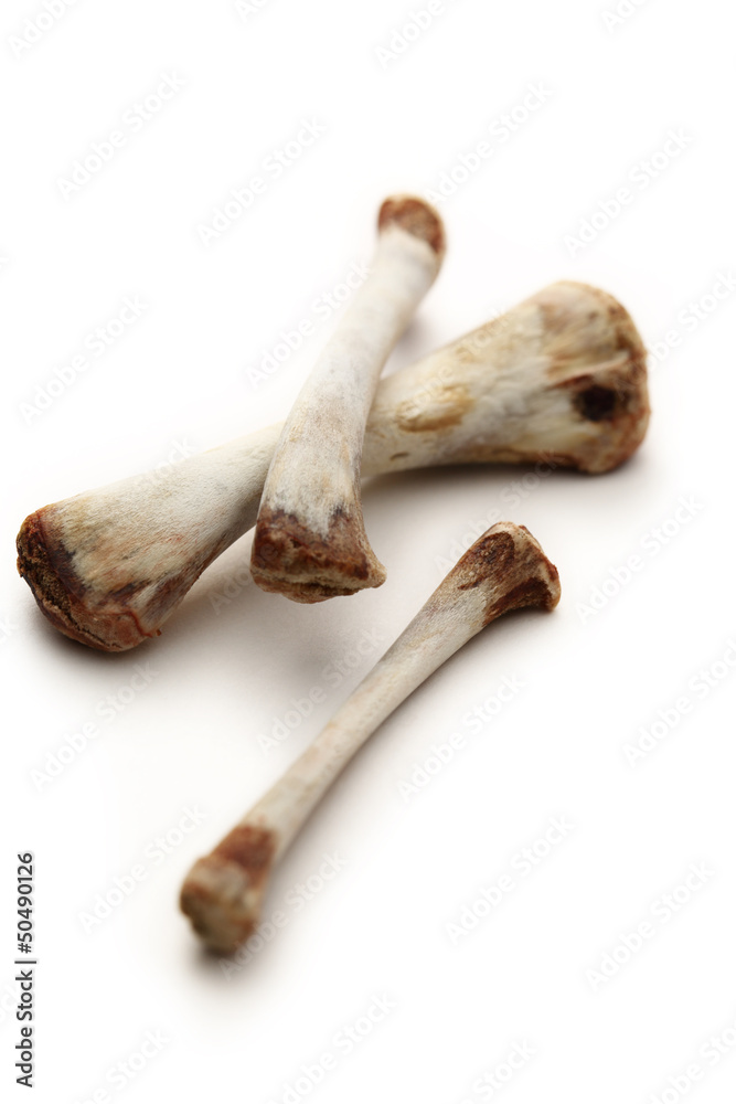 Chicken bones on white background Chicken bones on white background