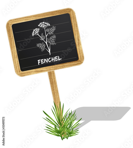 Fenchel Schildchen Vektor