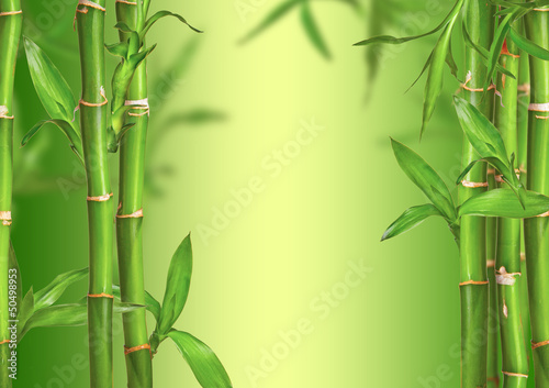 Fototapeta Naklejka Na Ścianę i Meble -  Spa still life with bamboo sprouts, free space for text