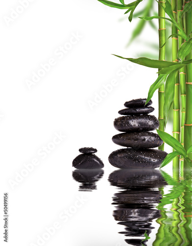 Spa still life with lava stones and bamboo sprouts  © Jag_cz