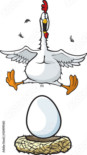 Chicken 1