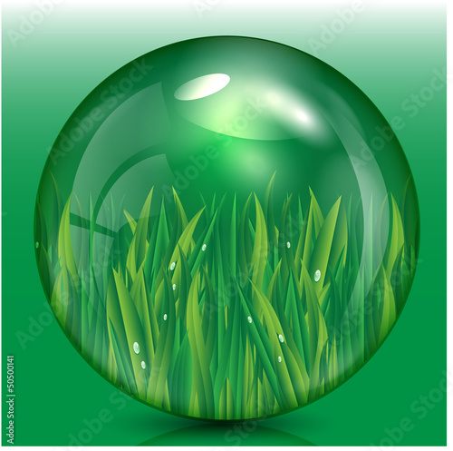 grass with dew drops in a bowl of green