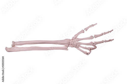 count 3- hand of bones