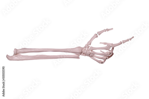 count 2- hand of bones