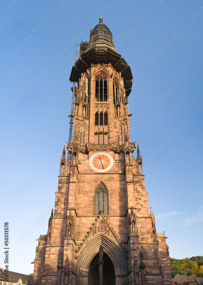 Fototapeta premium Freiburger Münster