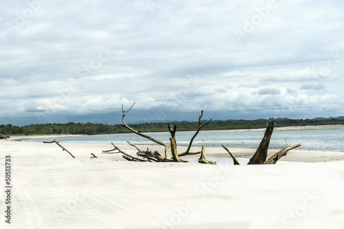 tropical beach after a storm