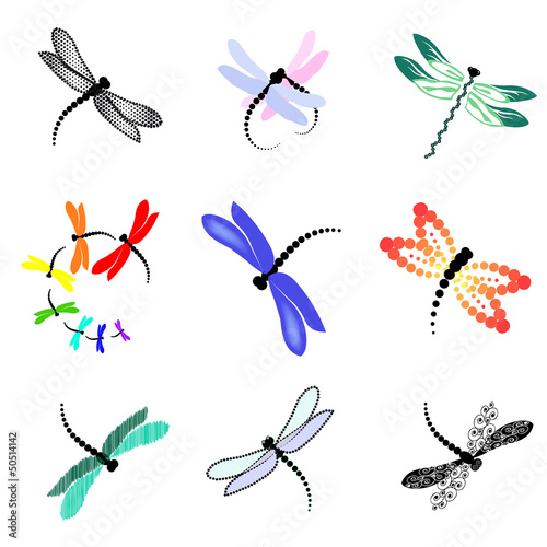 set of images of dragonflies