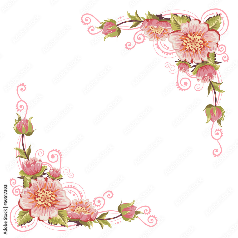 Elegant curves flower corners isolated