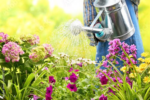 watering flowers in garden photo