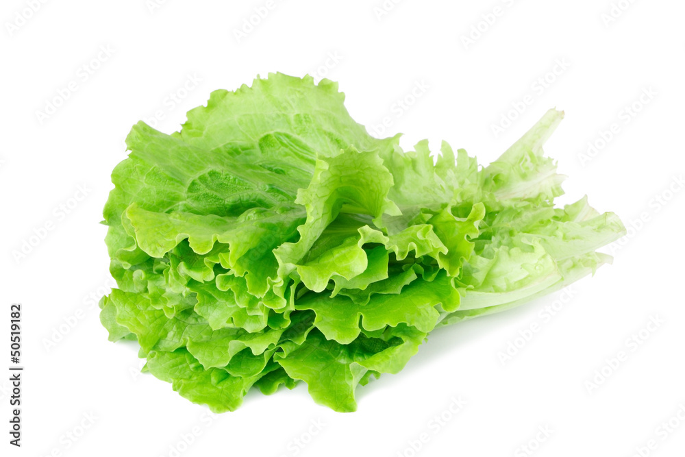 lettuce lettuce