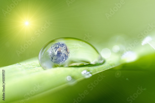 microcosmos