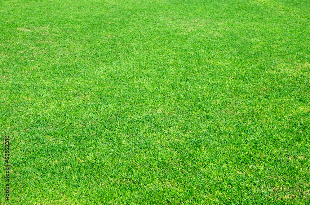 green grass green grass