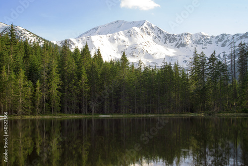 ośnieżony górski szczyt ponad lasem © Piotr Szpakowski