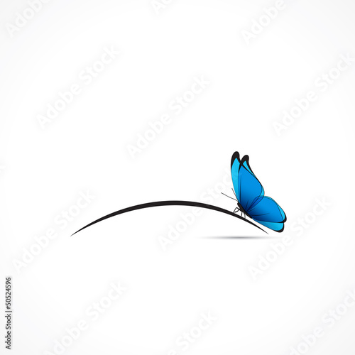 Petit papillon bleu