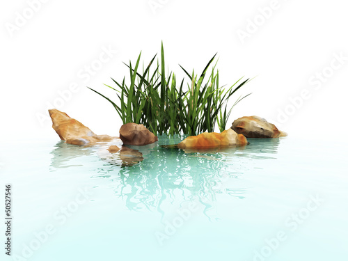 stone and grass in water waves