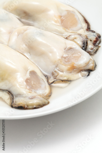 Fresh oysters prepared for cooking