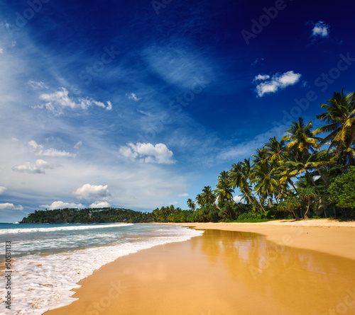 Fototapeta Naklejka Na Ścianę i Meble -  Idyllic beach. Sri Lanka