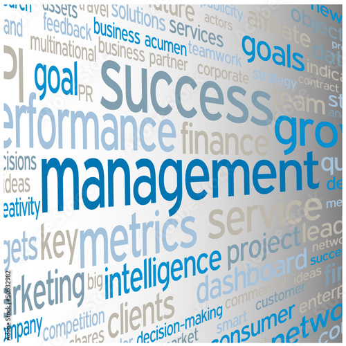 MANAGEMENT Tag Cloud (leadership performance decision-making)