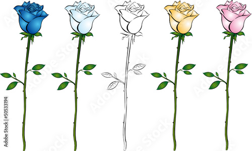 Rosen Set