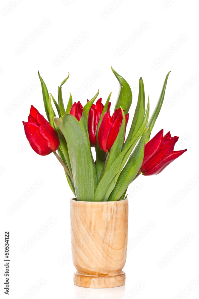 red tulips