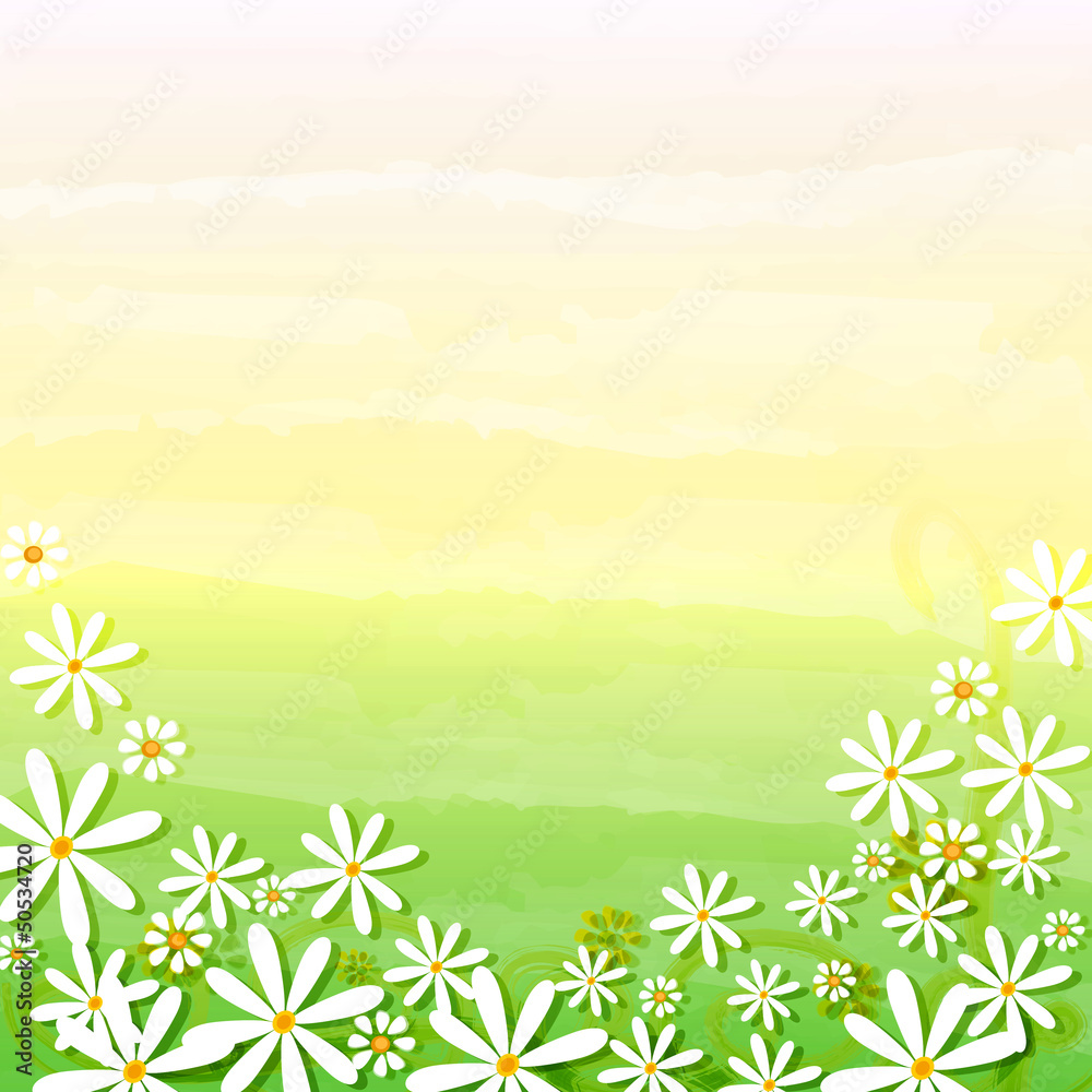 Fototapeta premium spring flowers in beige green background