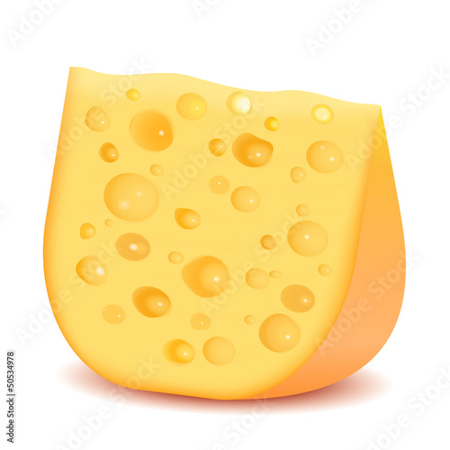 Cheese isolated on white