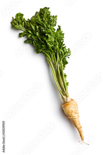 fresh parsnip photo