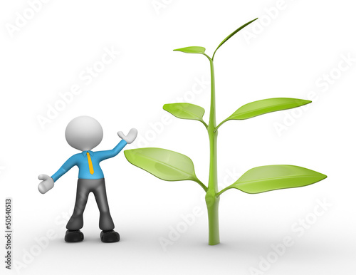 Plant