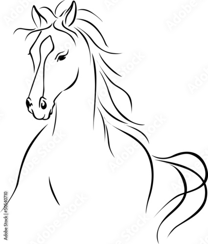 horse illustration