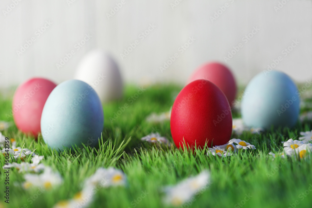 Easter Eggs In Grass