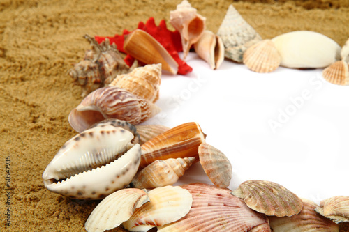 sand frame with the shells