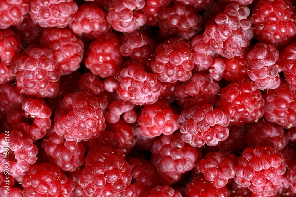 raspberries background raspberries background