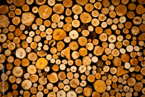 Pile of wood