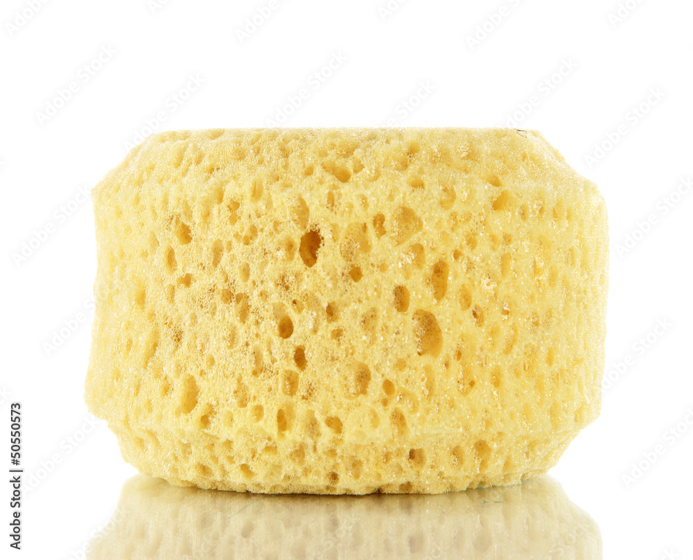 Sponges and sea sponge isolated on white