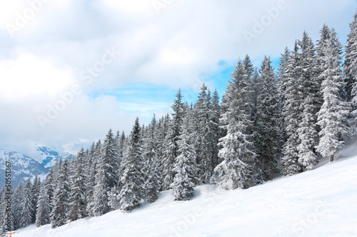 winter in mountains