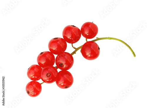 Photo red currant isolated on white background