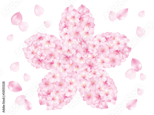 桜_シルエット
