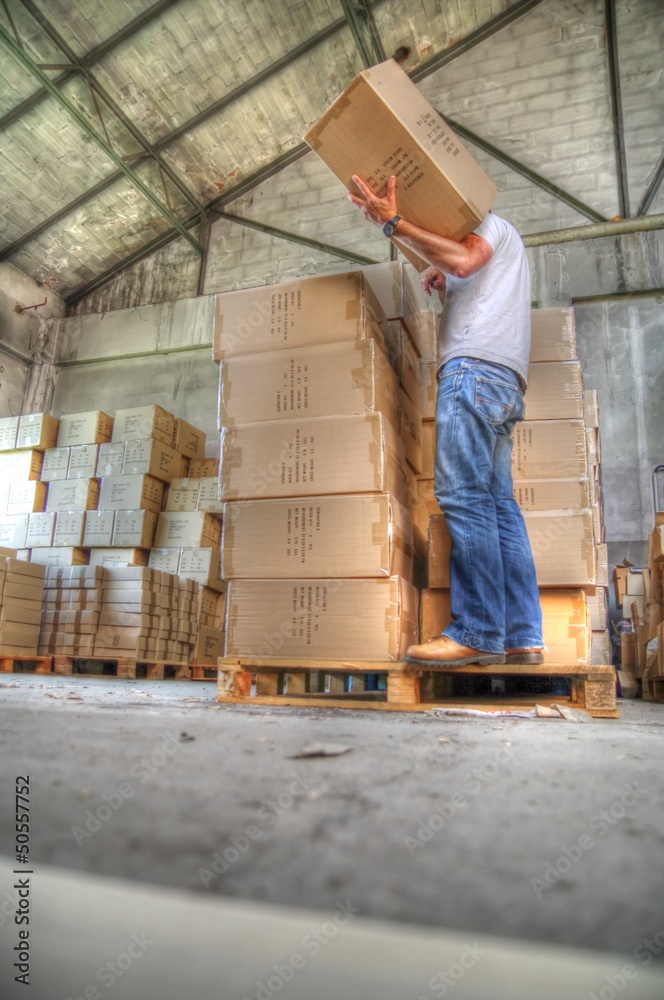 Fototapeta premium transport logistique - magasinier