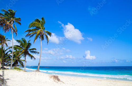 Fototapeta Naklejka Na Ścianę i Meble -  tropical beach