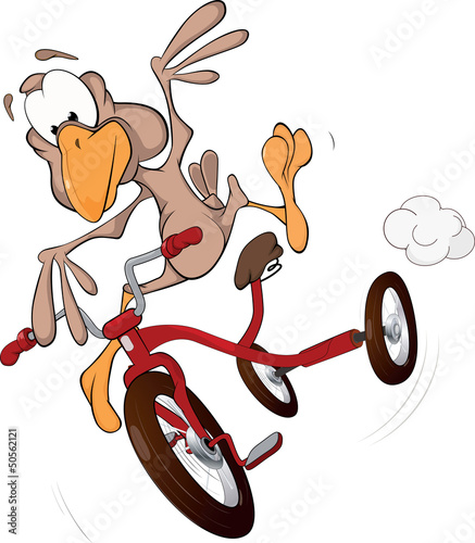 The ridiculous baby bird goes on a bicycle