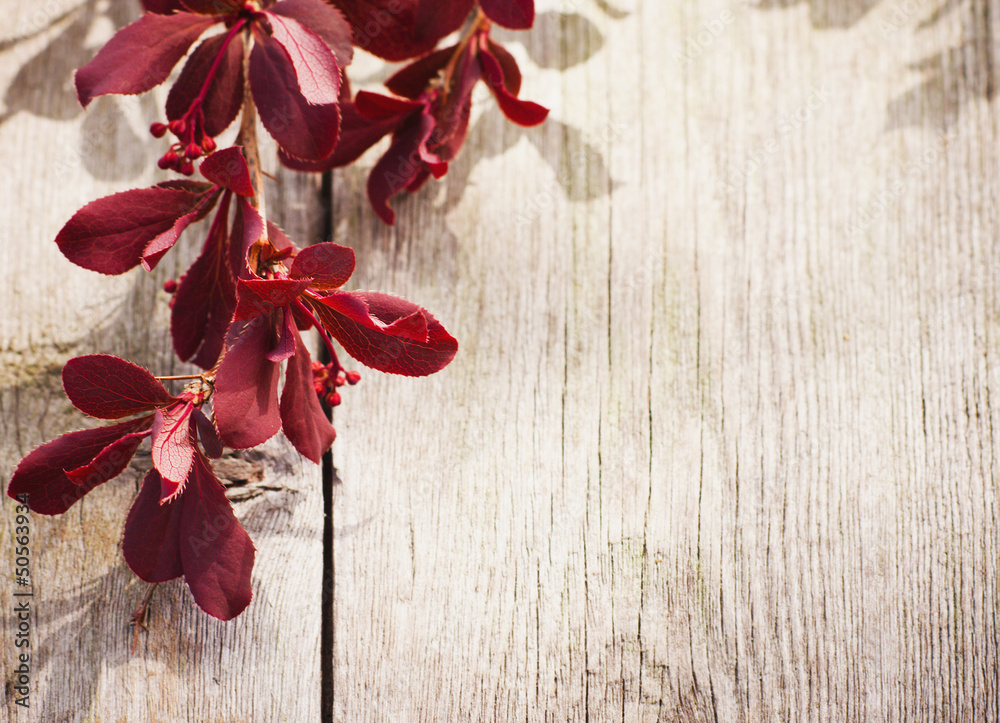 red leaves on wooden background