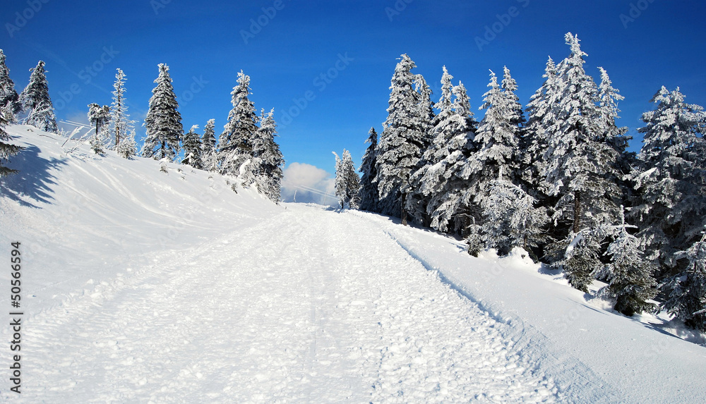 winter near Lysa hora in Moravskoslezske Beskydy Mts. winter near Lysa hora in Moravskoslezske Beskydy Mts.
