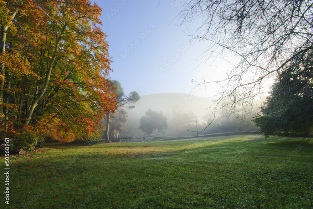 Naklejka premium Niebla mañanera