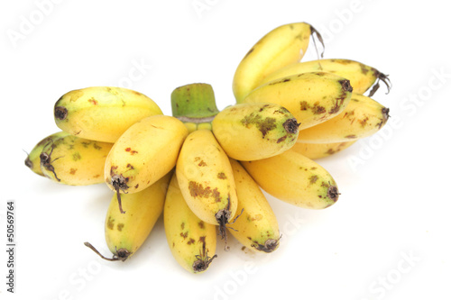 Lady Finger bananas isolated on white backgraound