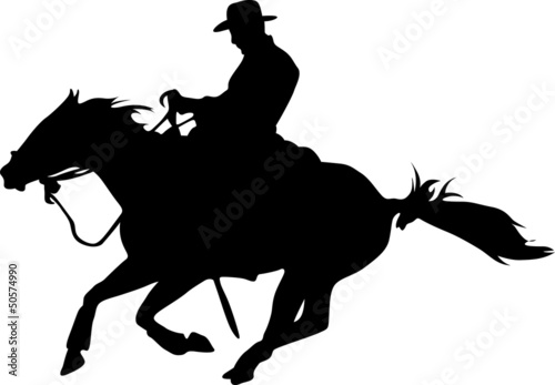 Quarter Horse - Western - Cowboy