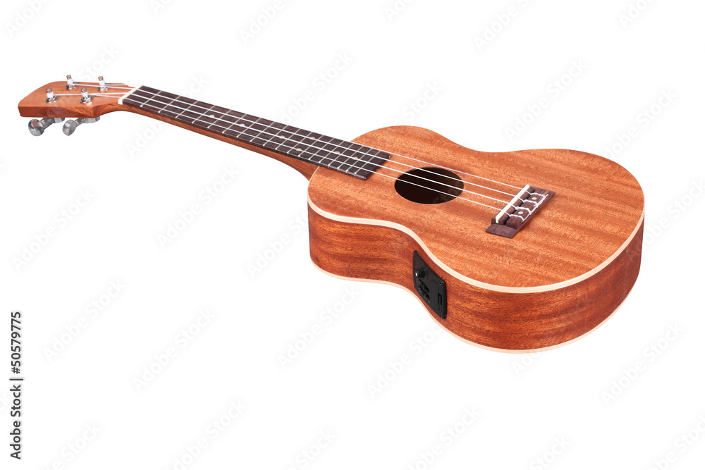 Fototapeta premium hawaiian guitar