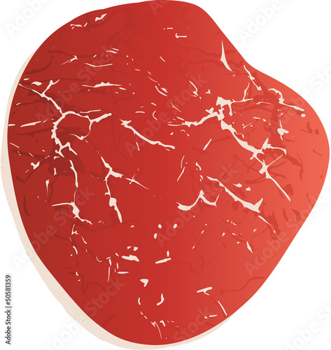 Vector Illustration of a Filet Steak Cut